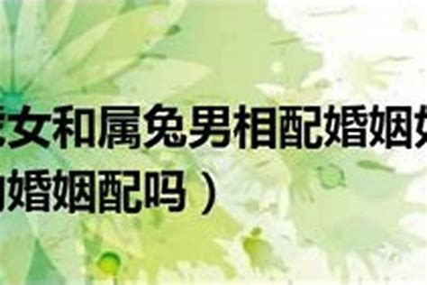 男虎女兔|男虎女兔婚姻是否相配 男虎女兔婚姻是否相配指数